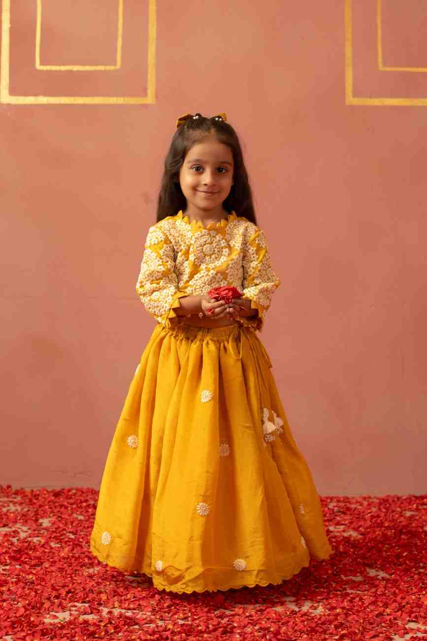 Thread Work Ghaghra Blouse