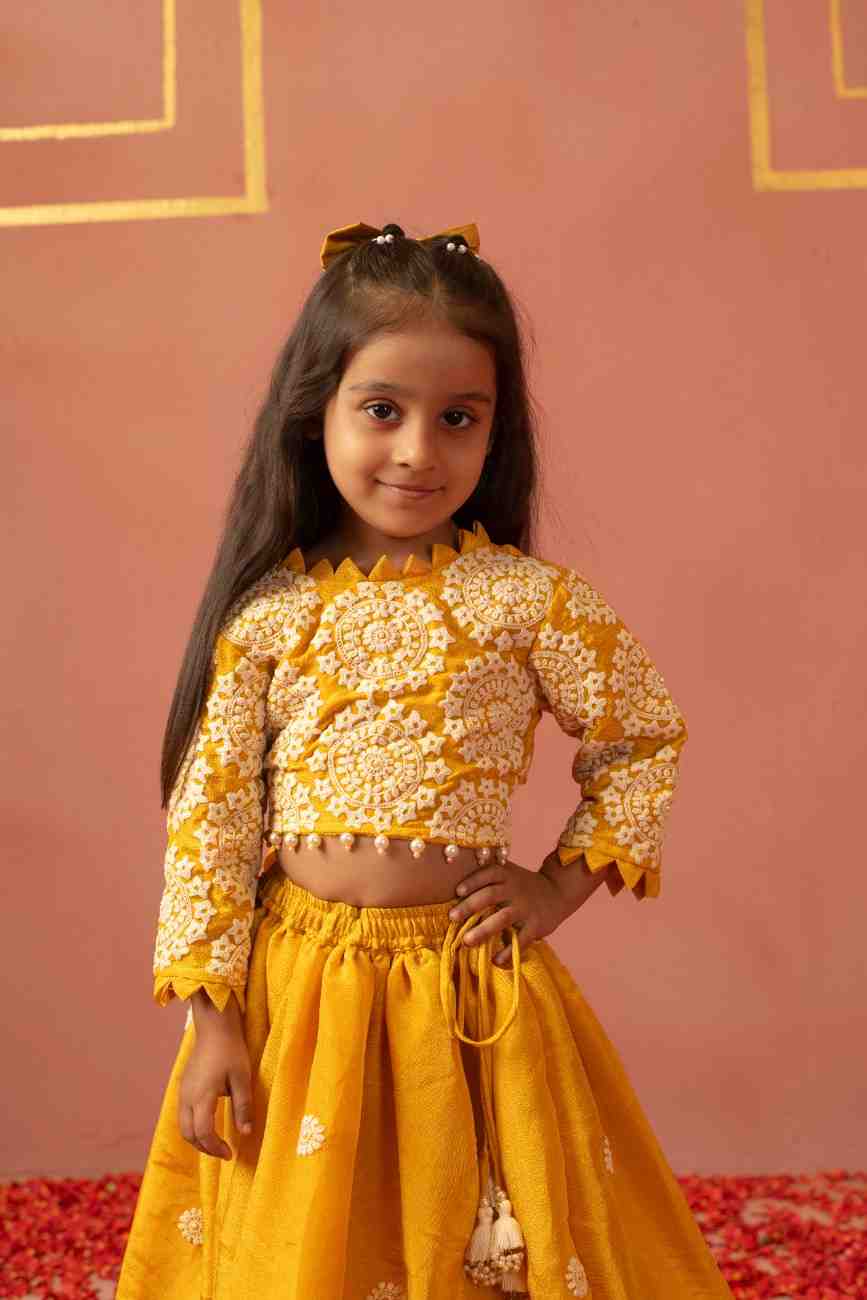 Thread Work Ghaghra Blouse