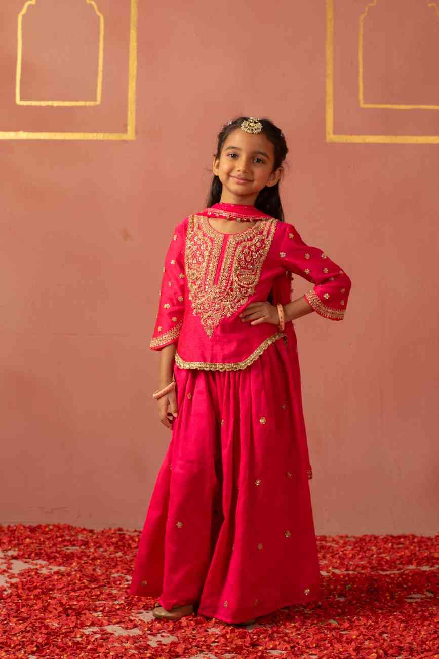 Pink Zari Kurta Sharara
