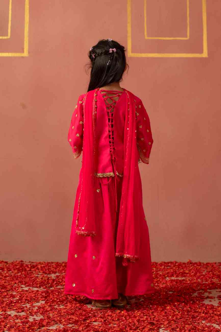 Pink Zari Kurta Flare Pant