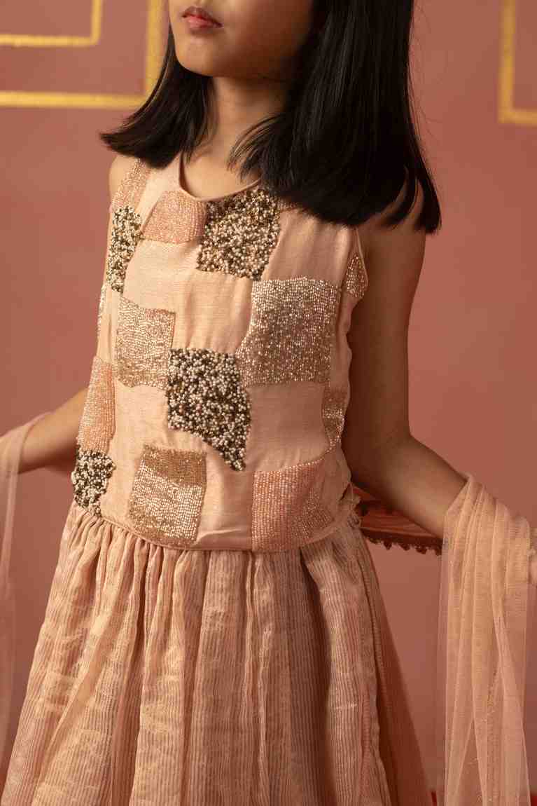 Pink Cut Daana Ghaghra