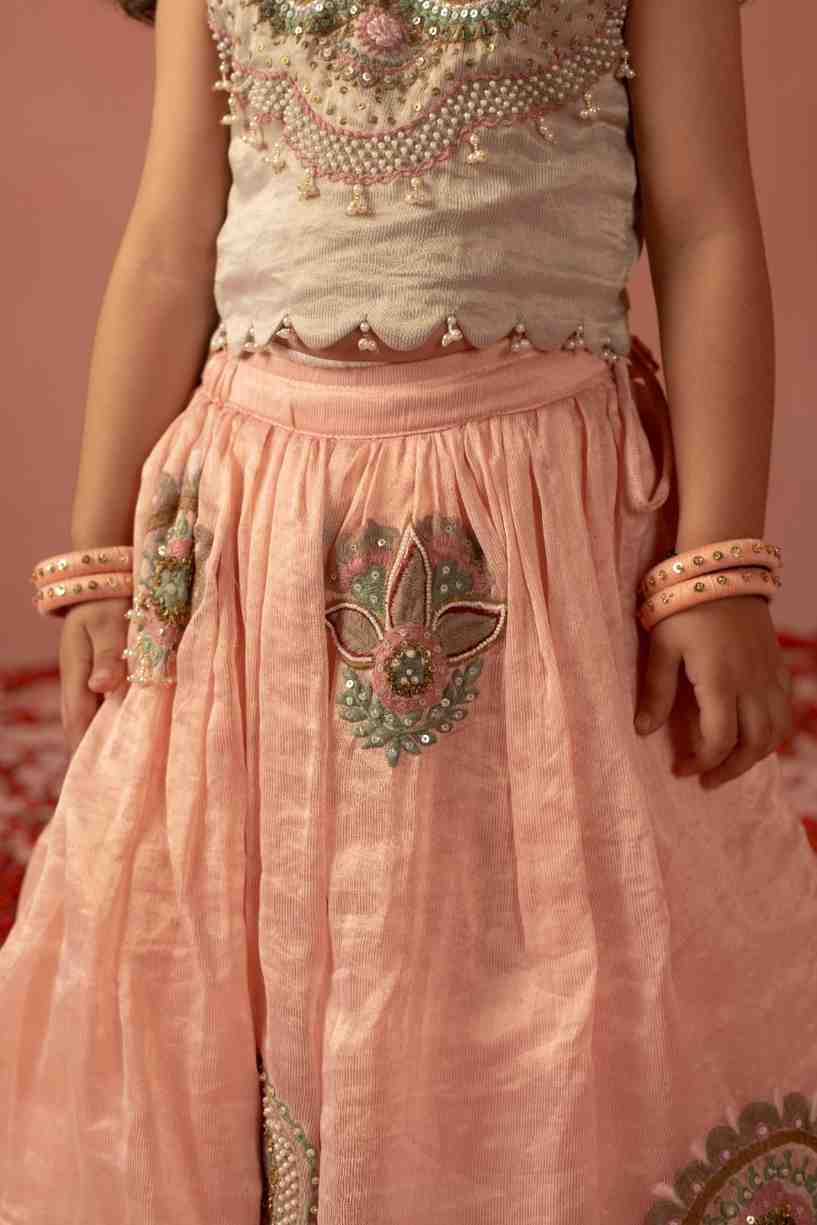 Pink Thread Embroidery Ghaghra
