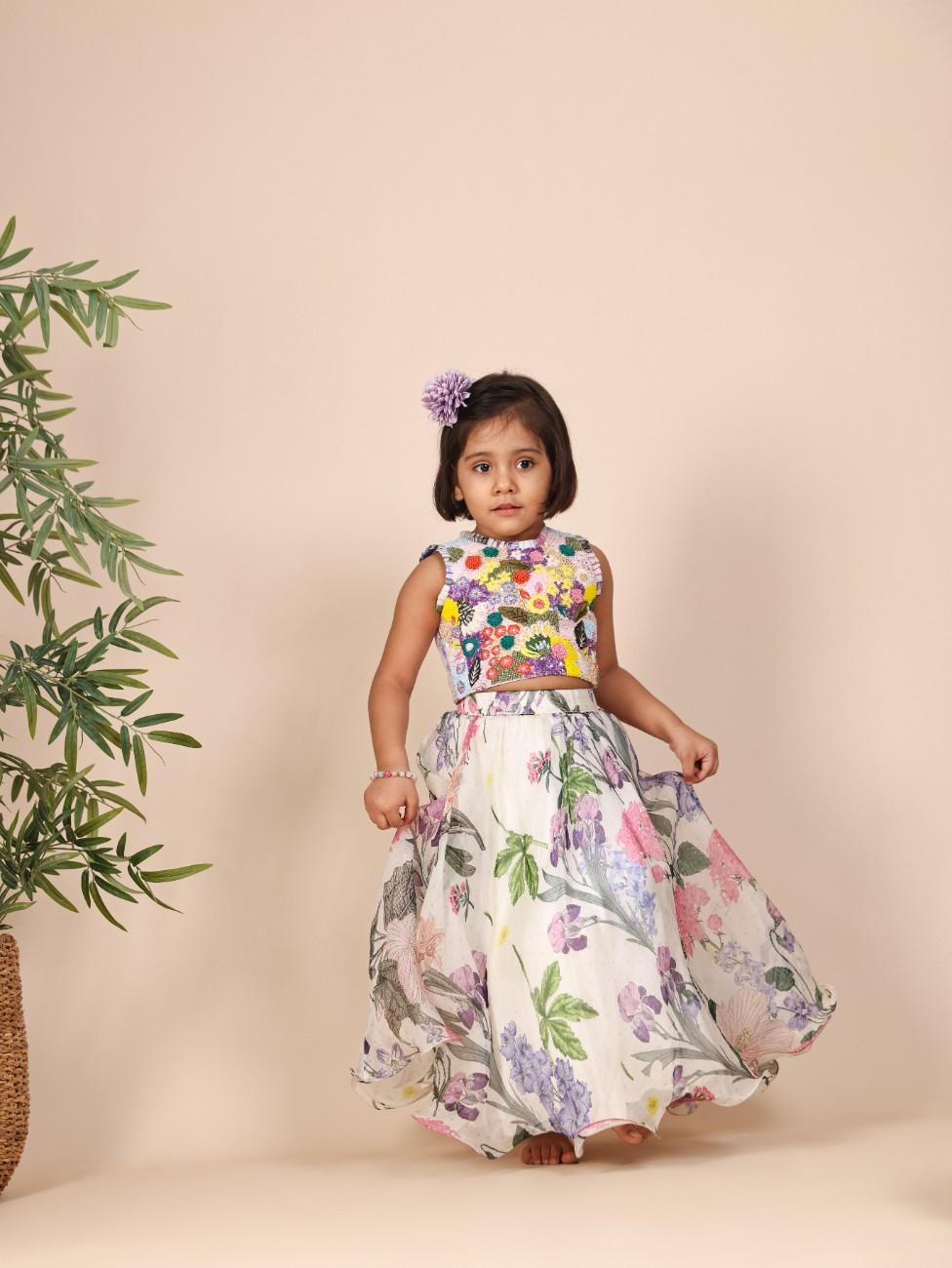Multicolour Embroidered Ghaghra set