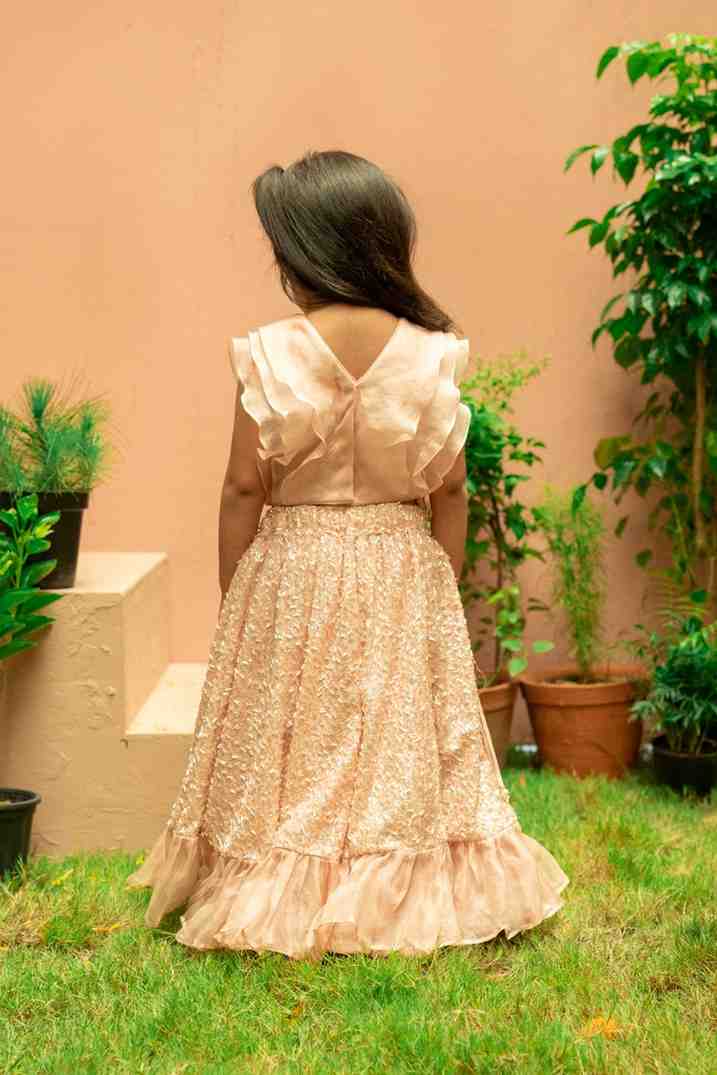 Dust Pink Sequinned Ghaghra