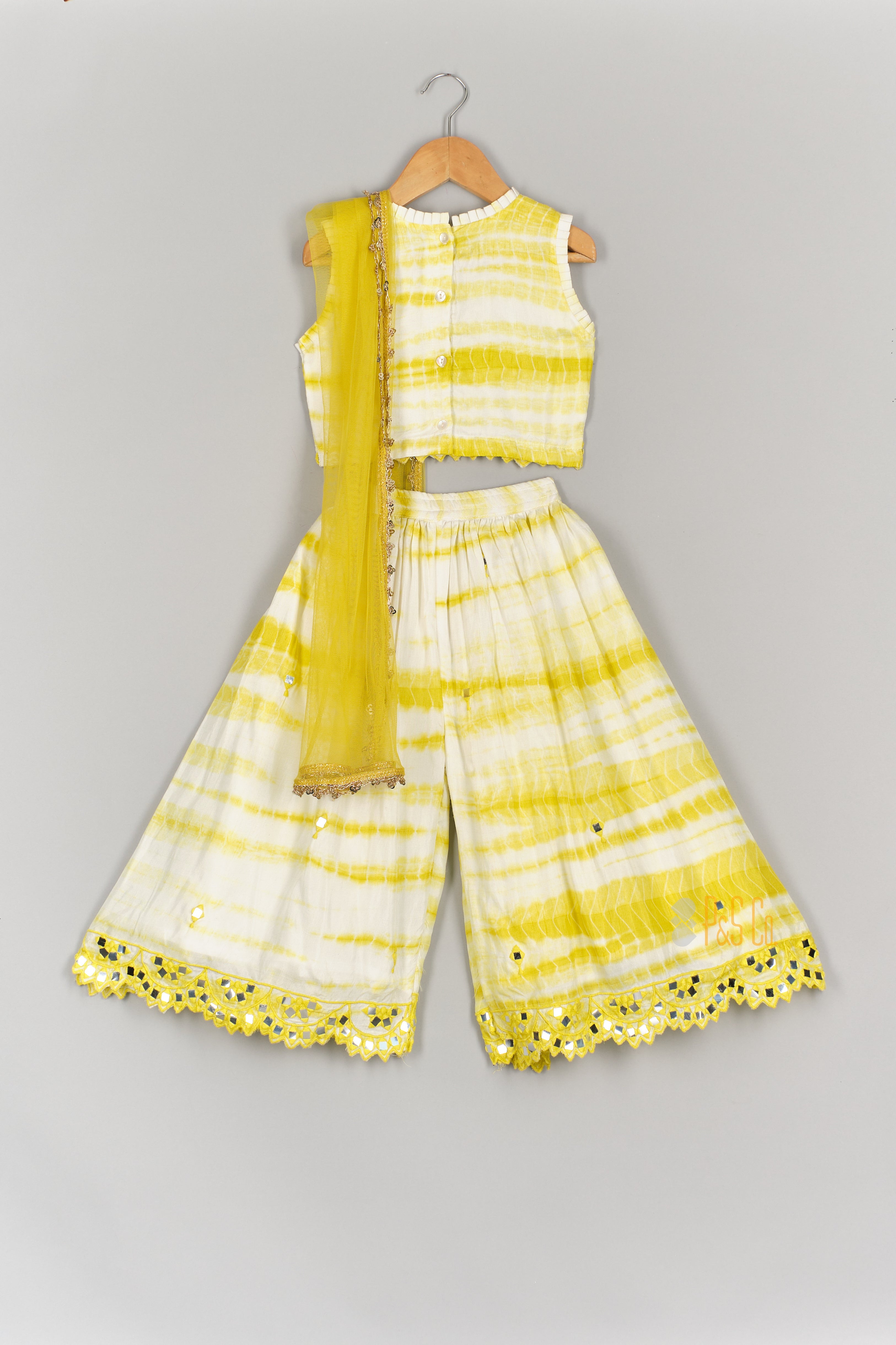 Mirror Worked Shiboree Top and Flare Pant With Dupatta
