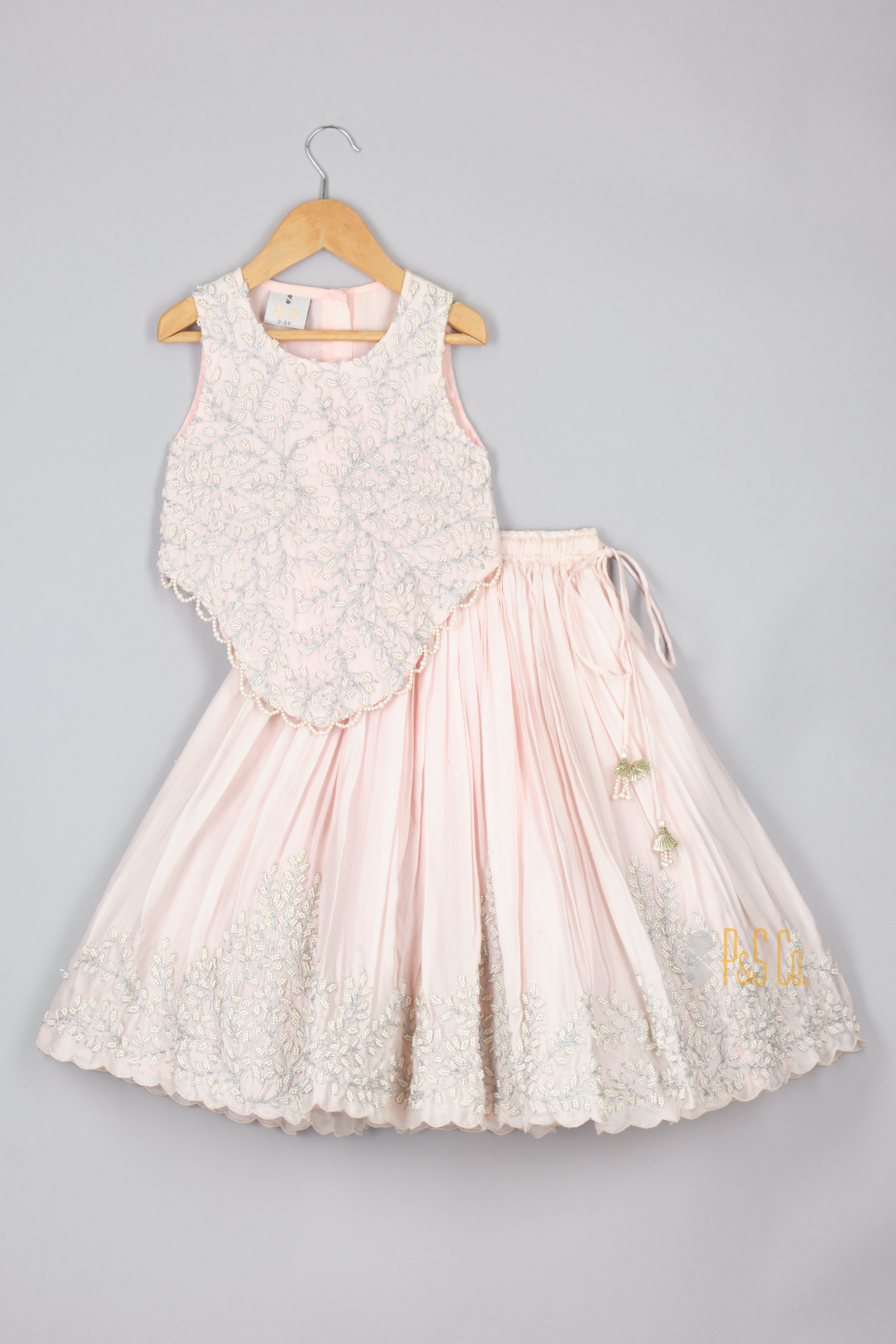 Pink Moti Jaal Ghagara Blouse