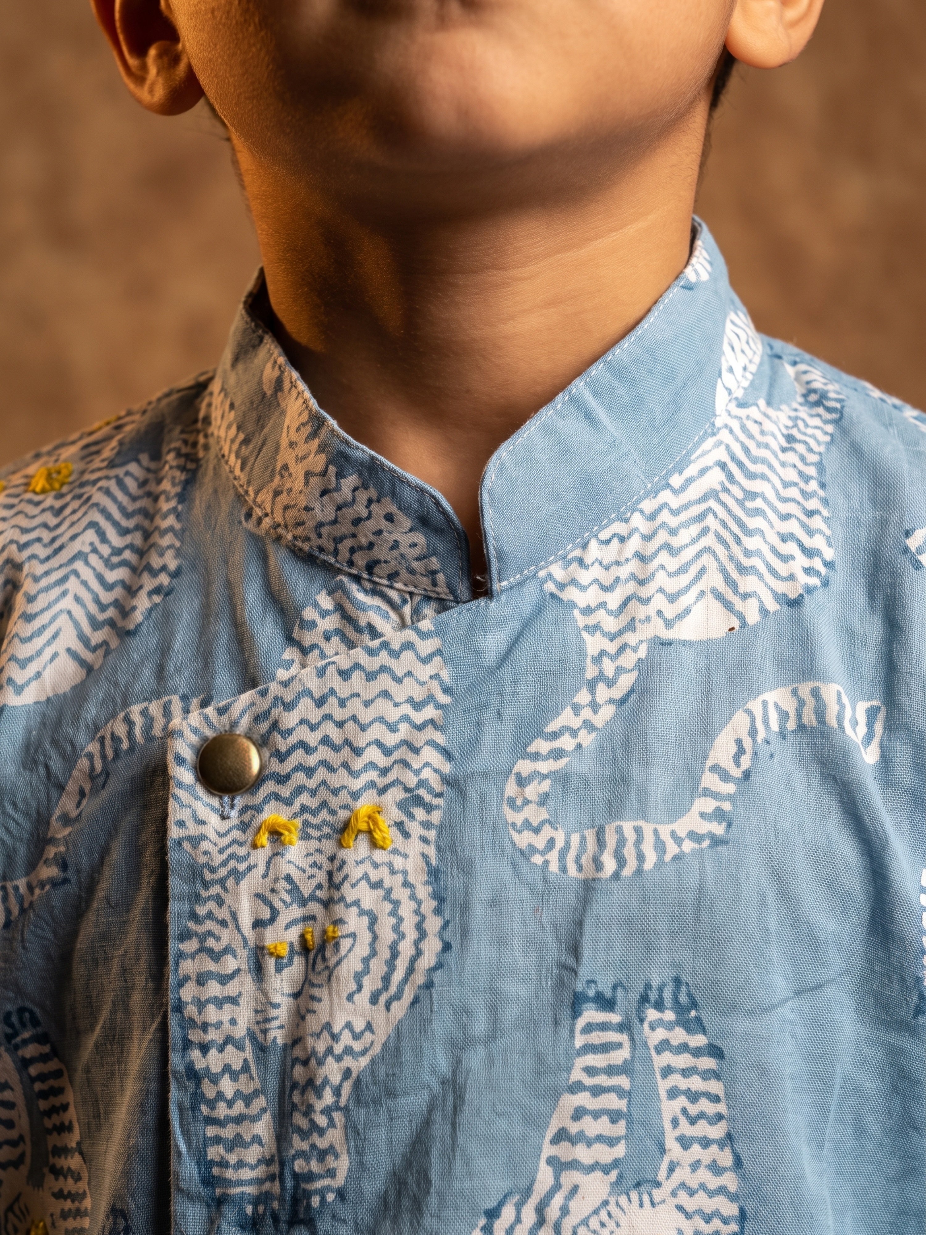 Ayaan Animal Printed Kurta Set