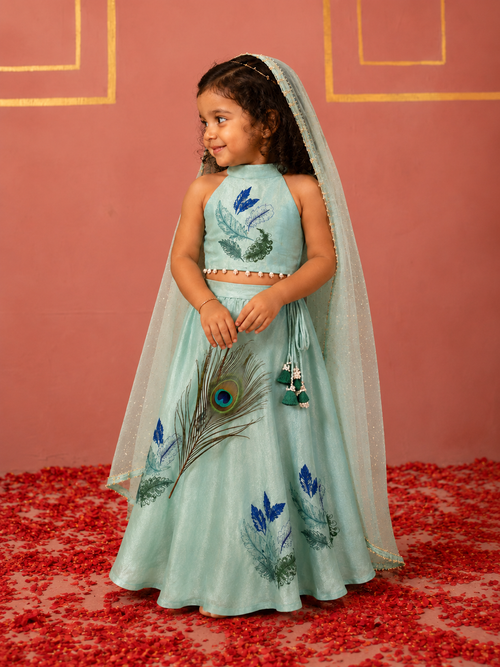 Mor Pankh Lehenga Set