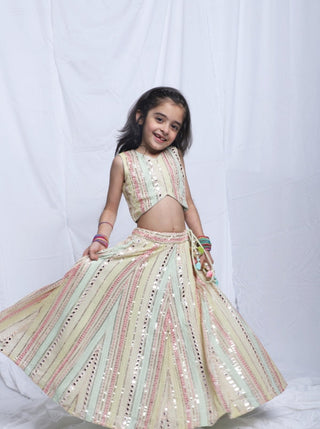 Mirror Work Ghagara Set