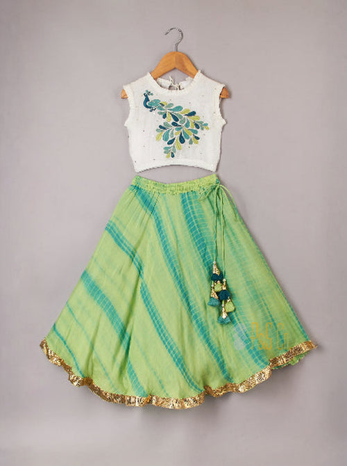 Embroidered Shibori Lehenga Set