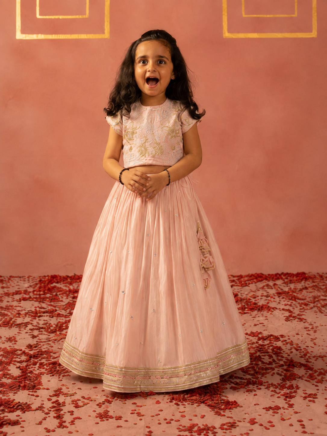 Pink tissue embroidered lehenga