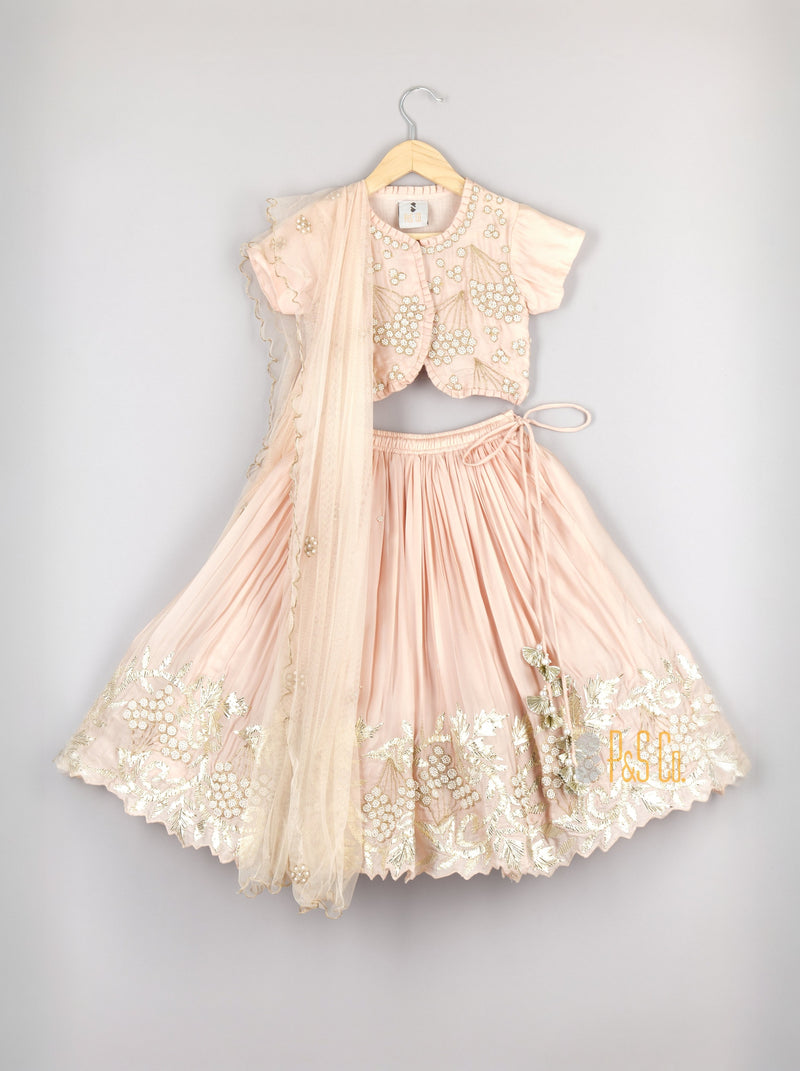 Beautiful Embroidered Lehenga Set