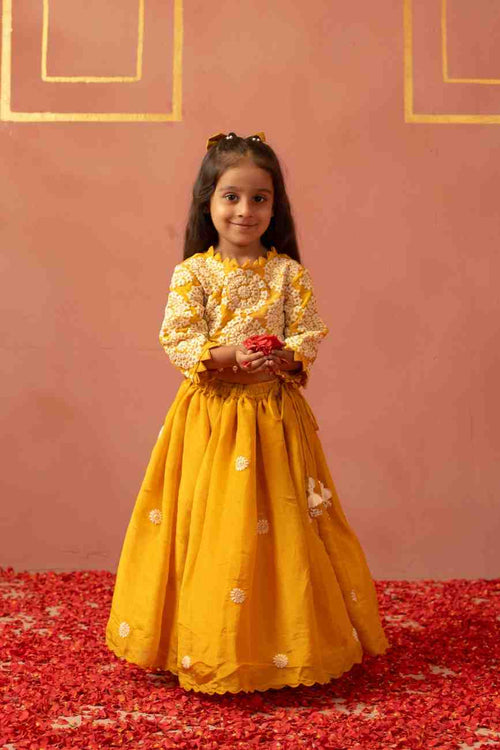 Mustard Thread Work Lehenga