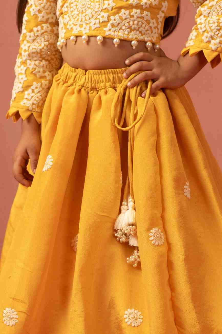 Mustard Thread Work Lehenga