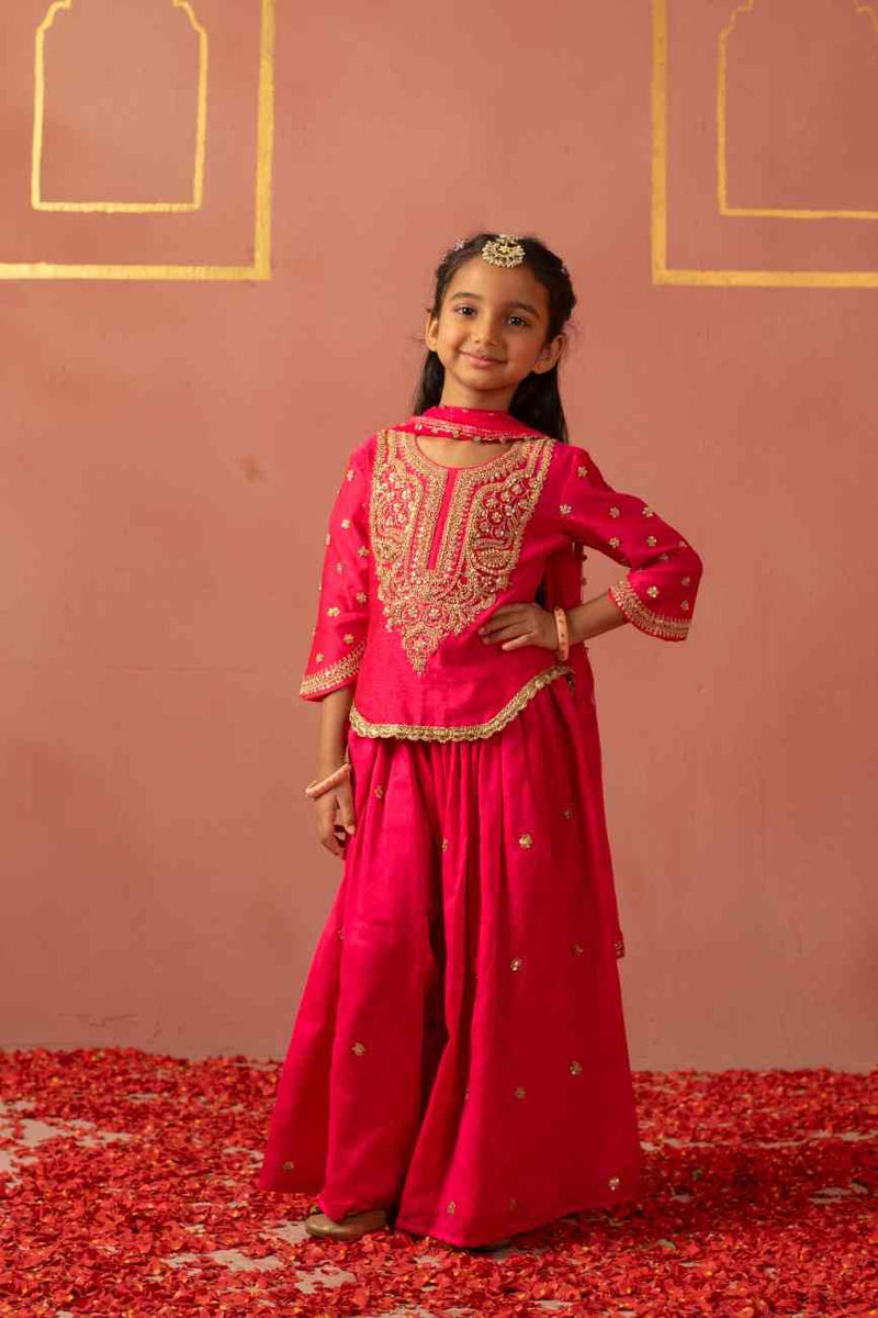 Pink Zari Kurta Flare Pant