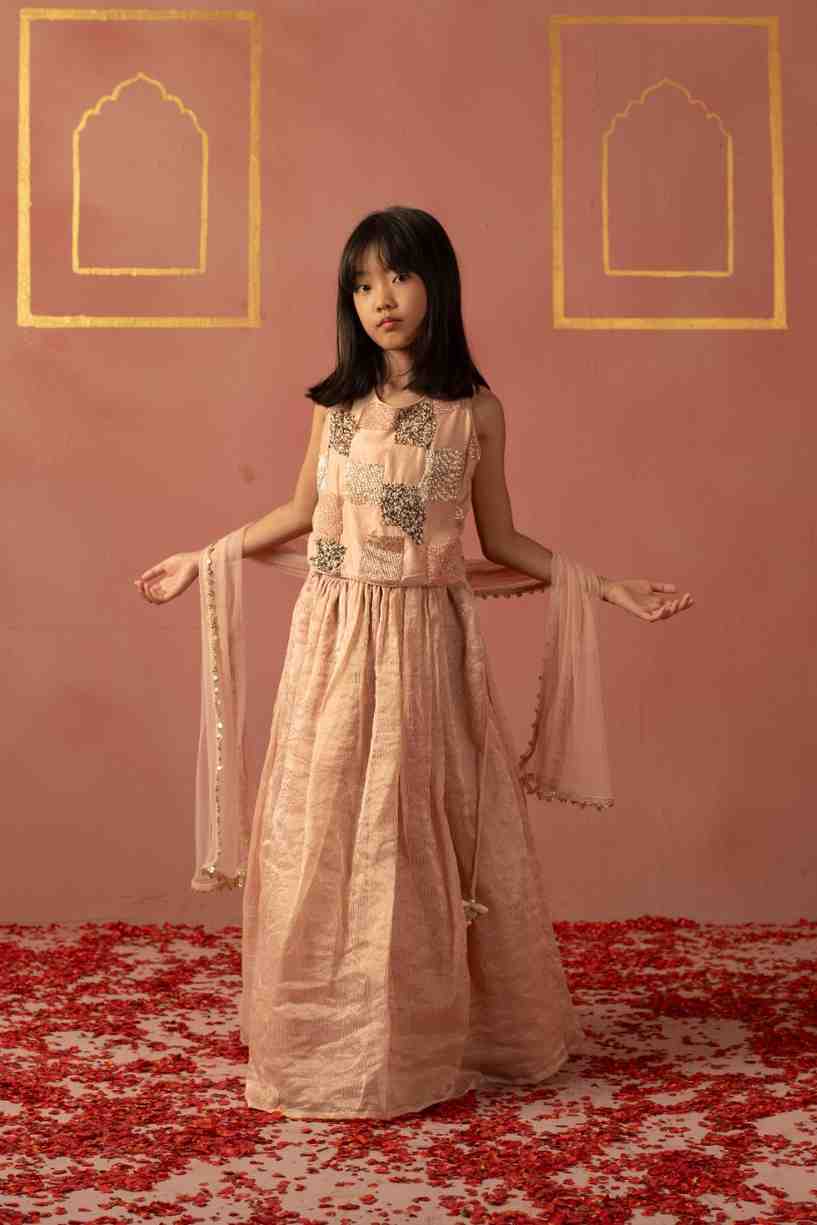 Pink Cut Daana Ghaghra