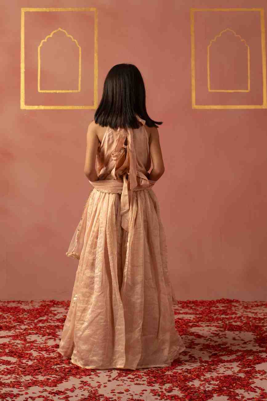 Pink Cut Daana Ghaghra