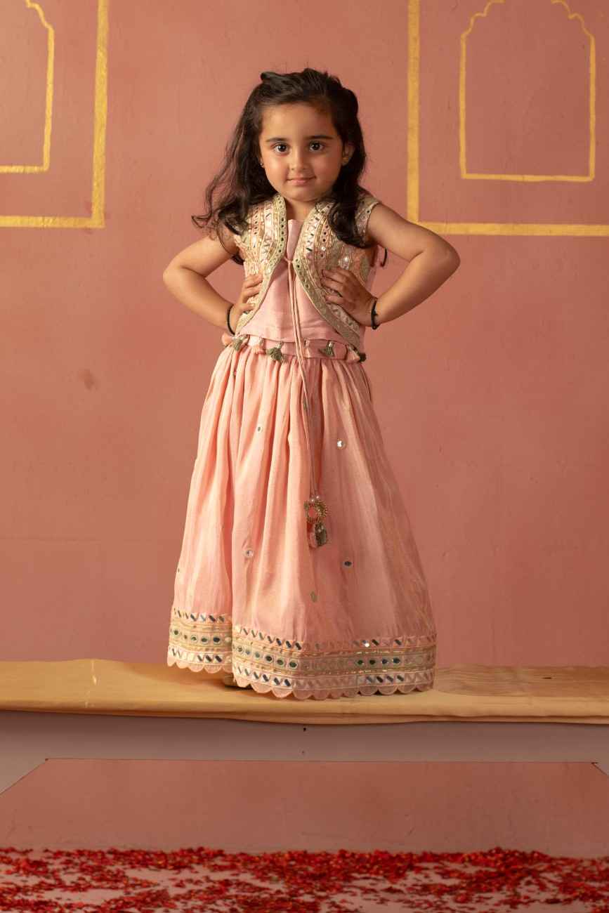 Pink Mirror Ghaghra