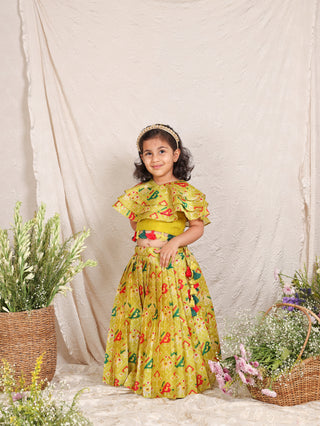 Patola Printed Ghaghra Set
