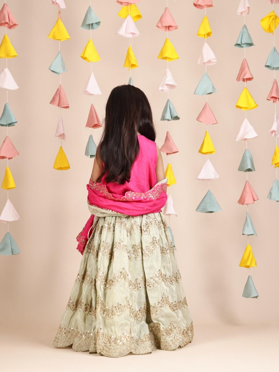 Hot Pink Zari Embroidered Waistcoat Style Top and Pista Green Ghagara