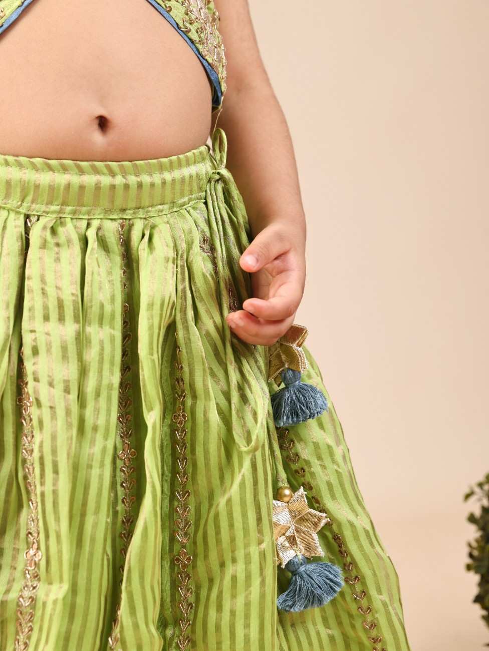 Gota Zari Embroidered Top and Ghagara