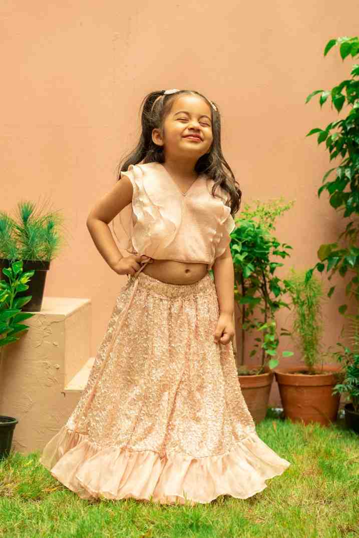 Dust Pink Sequinned Ghaghra