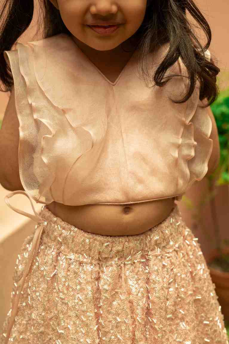 Peach Top With Ghaghra