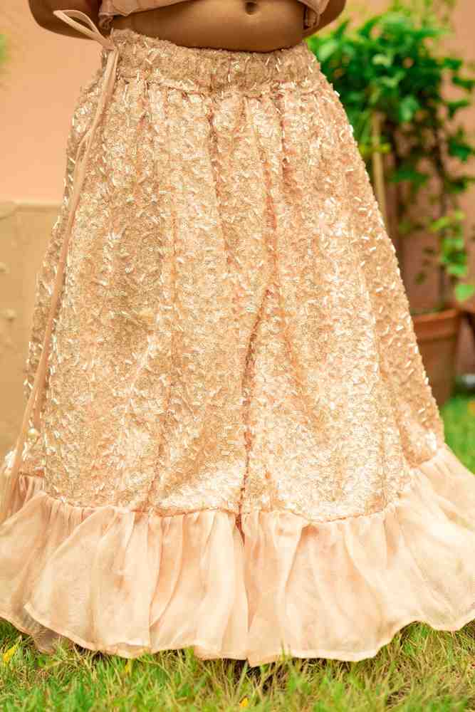 Dust Pink Sequinned Ghaghra