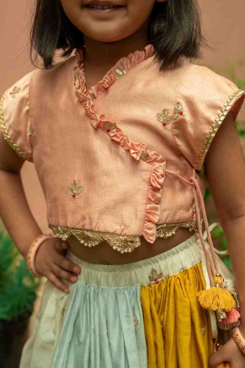 Multicolour Lehenga and Top