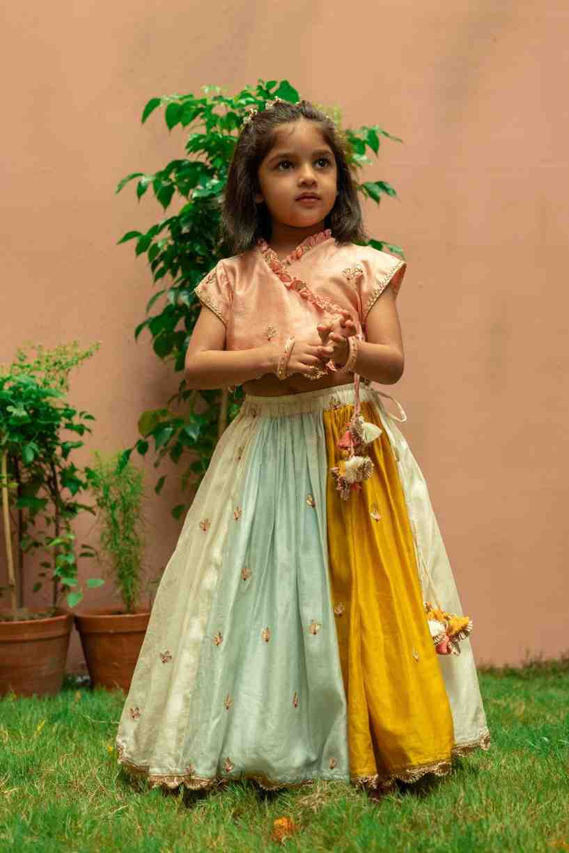 Multicolour Lehenga and Top