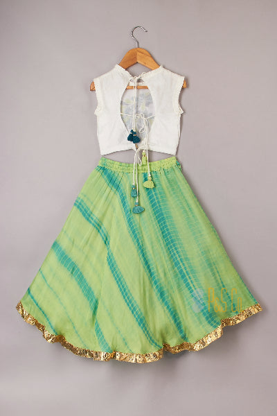 Peacock Embroidered Top With Shibori Lehenga