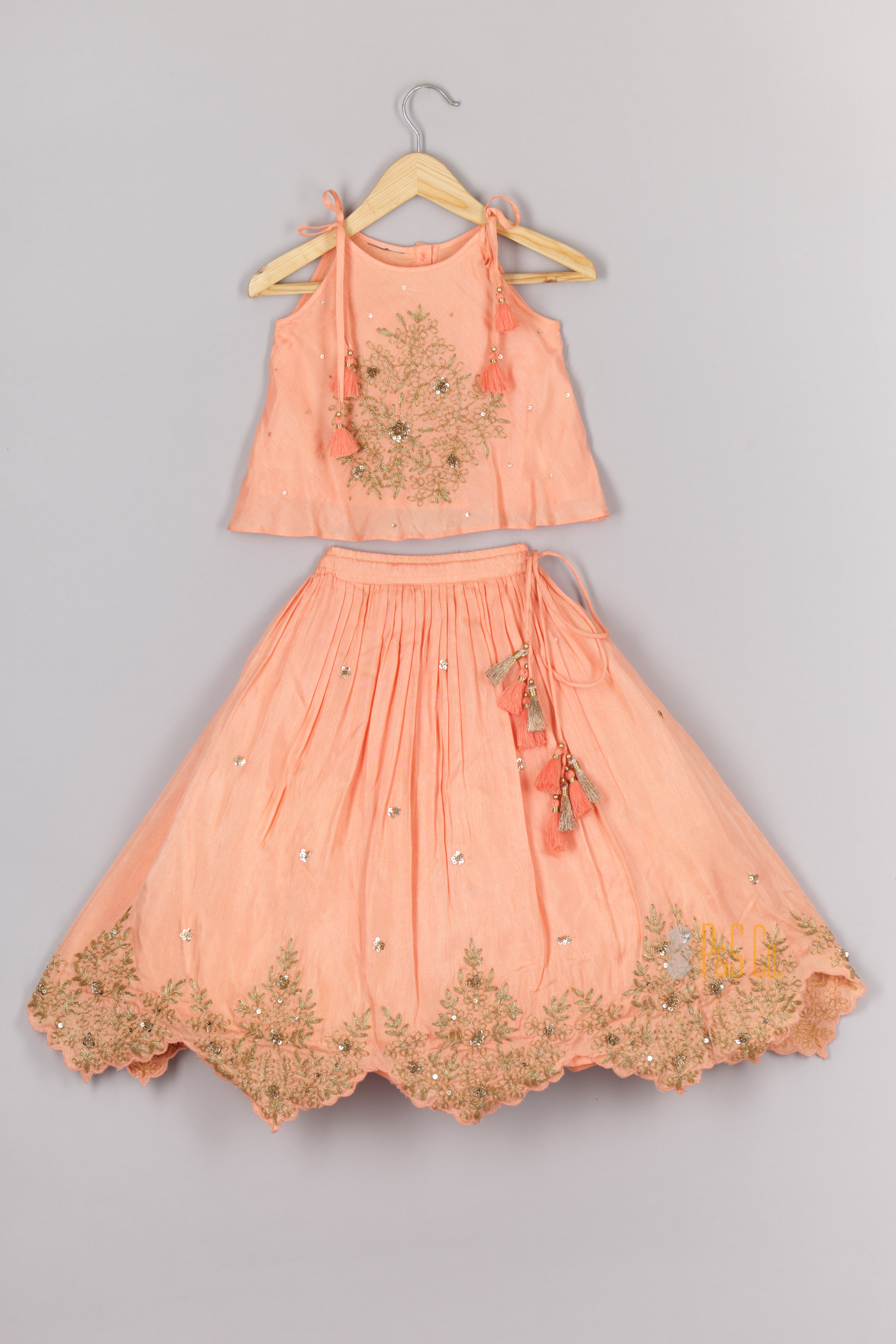 Embroidered Peach Tie-Up Strap Top And Pleated Lehenga