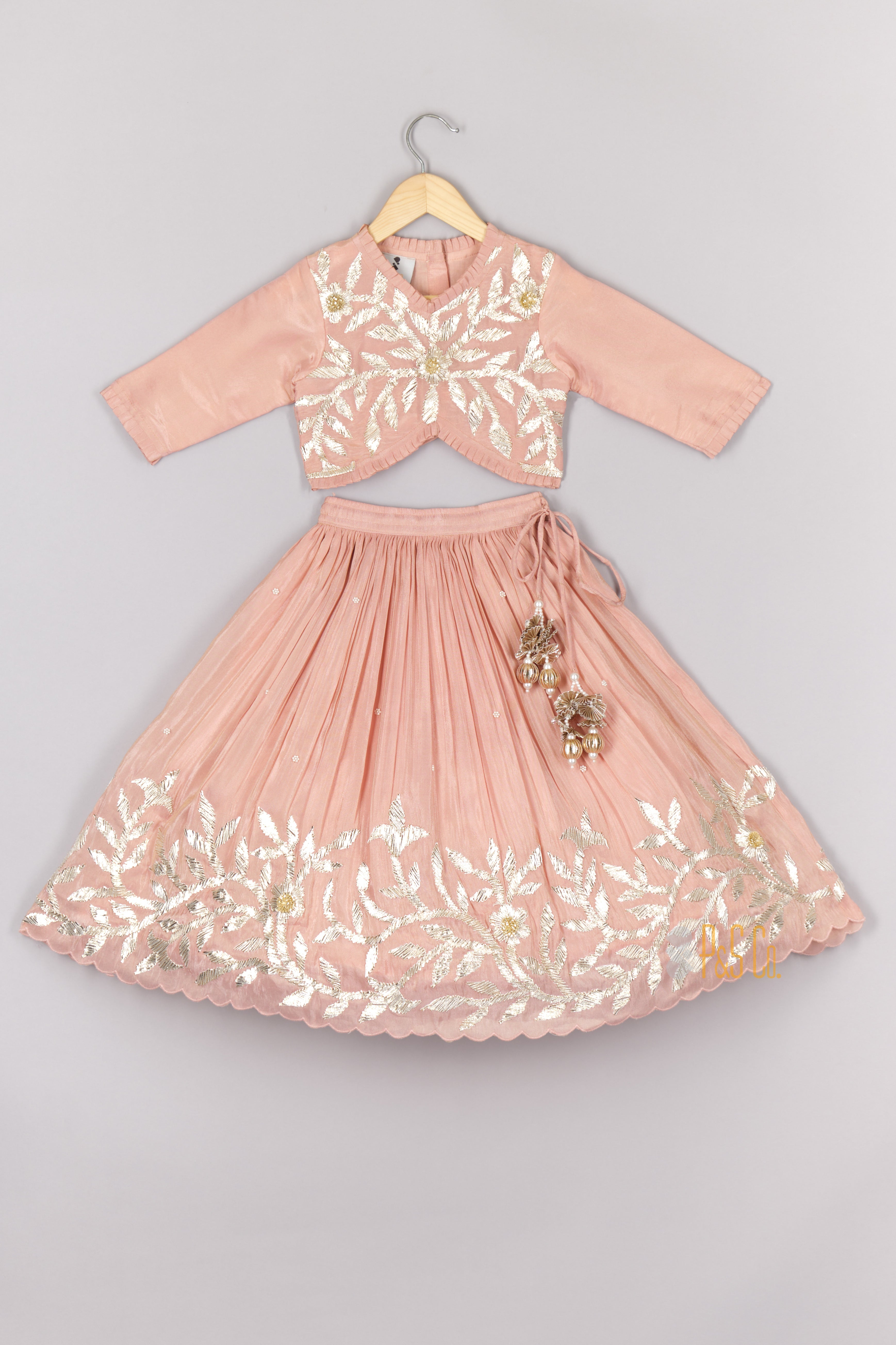 Pink Gota worked Tissue Ghagara Blouse