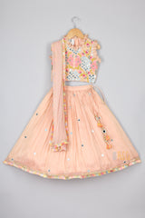 Faux Mirror And Floral Thread Embroidered Top And Lehenga With Net Dupatta