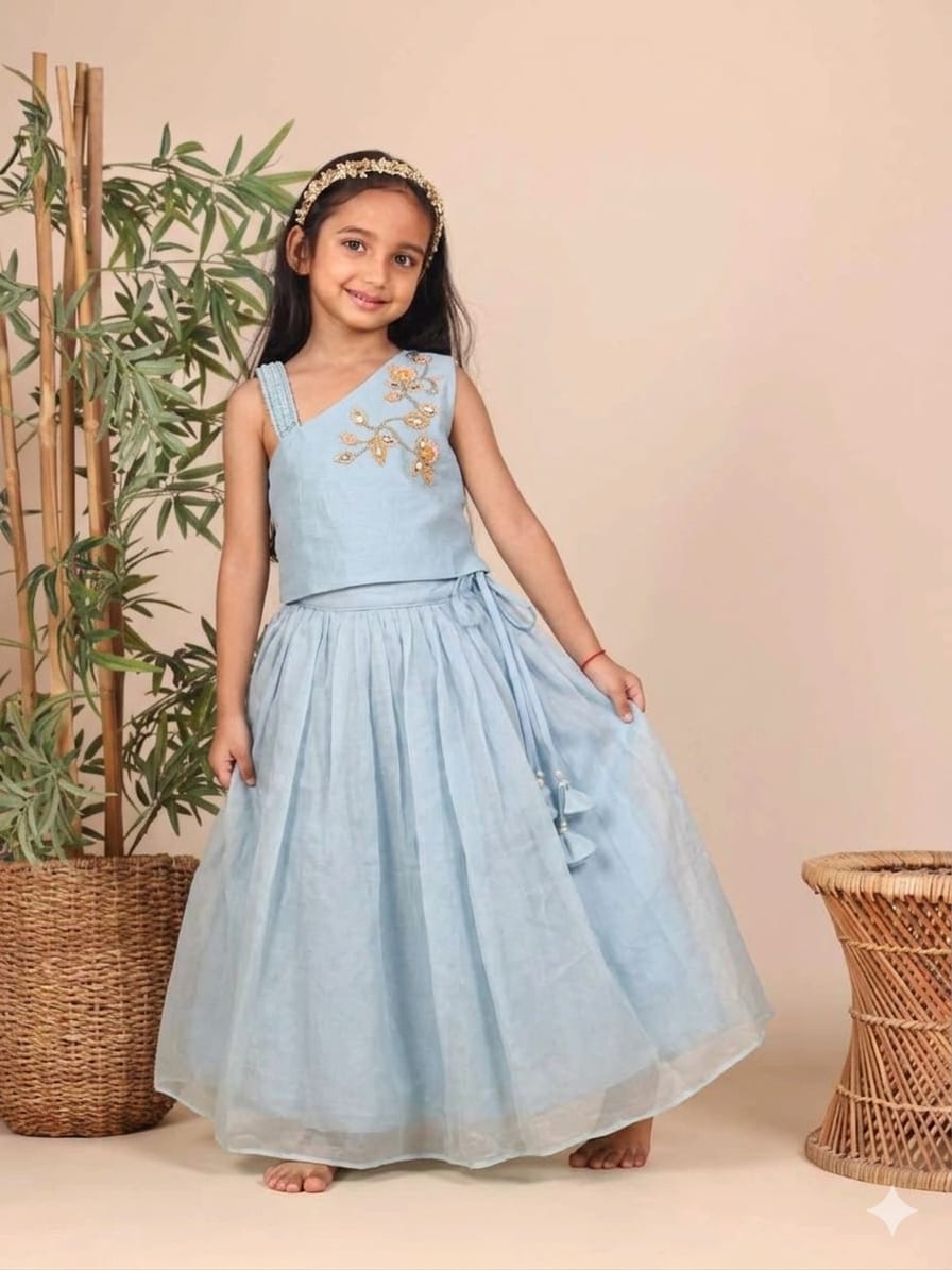 Powder Blue Stone Embroidered Organza Top with Ghaghra for 1 Years Old
