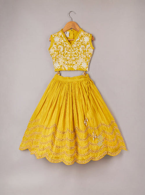 Thread Embroidered Lehenga Set