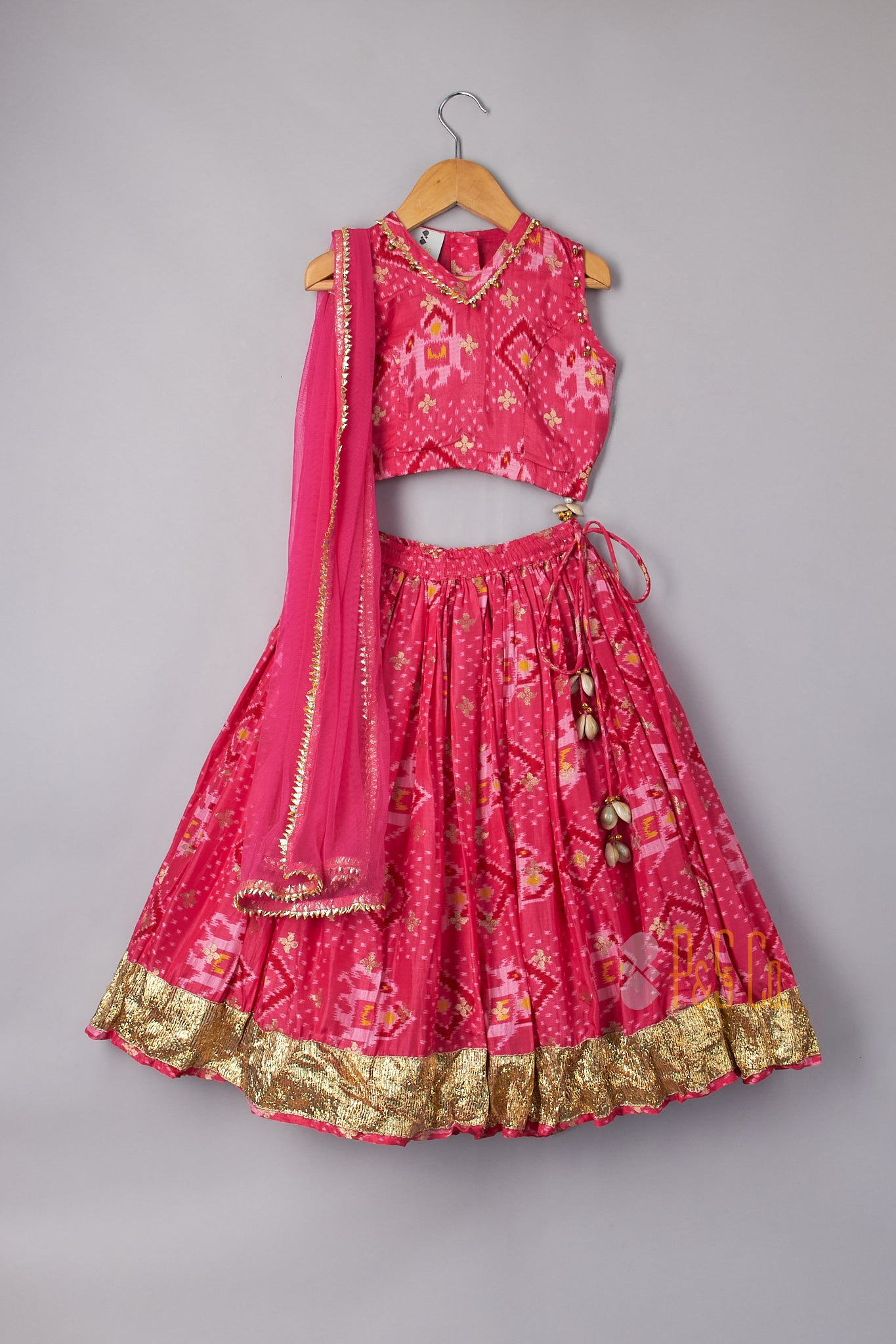 Pink Patola Elephant Print Ghagara - P&S Company